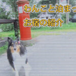 【わんこ旅】ペット同伴可能のお宿の紹介