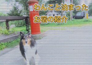 【わんこ旅】ペット同伴可能のお宿の紹介