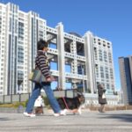 【車中泊】東京お台場到着編、わんこと色々散歩します
