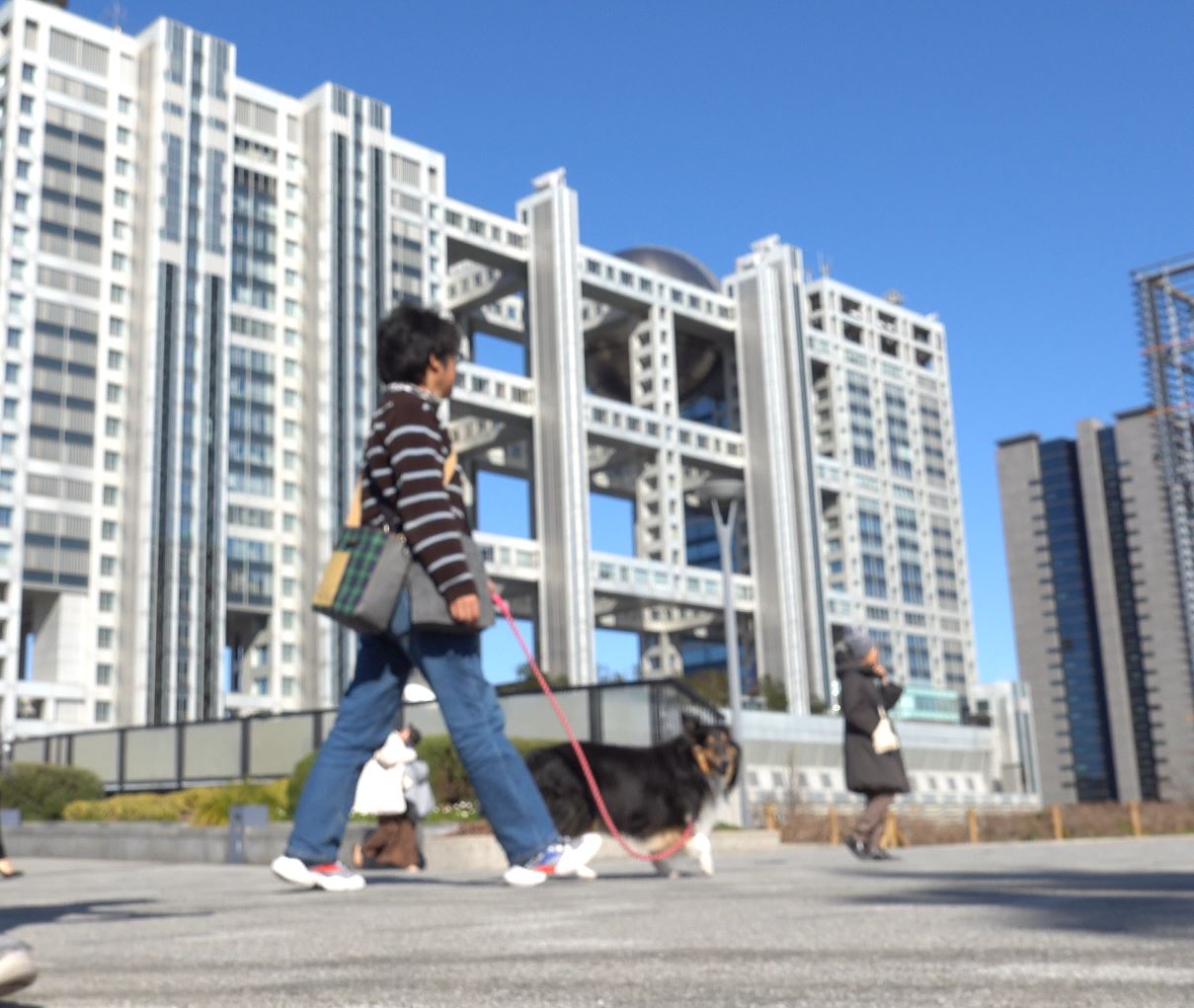 【車中泊】東京お台場到着編、わんこと色々散歩します